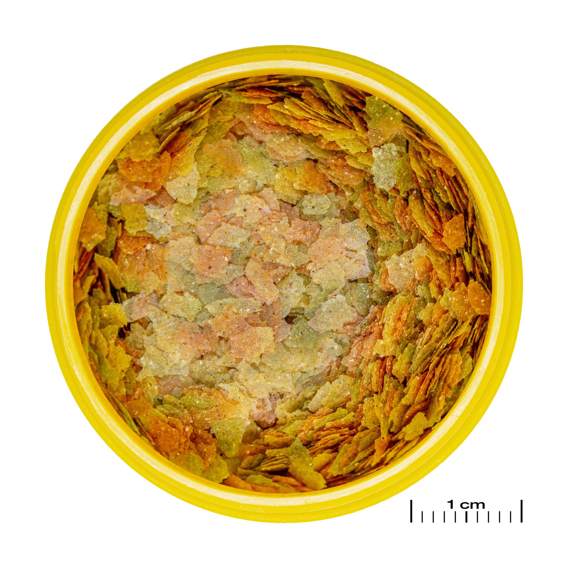 JBL ProNovo Betta Flakes S 20 ml – Mangime per Pesci Combattenti JBL ProNovo Betta Flakes S 20 ml – Mangime per Pesci Combattenti